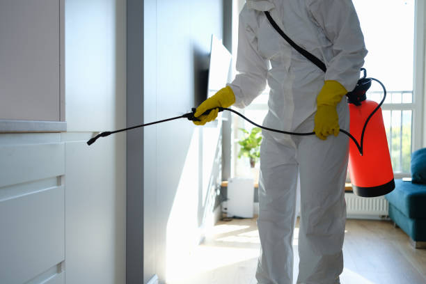 Best Home Mold Removal  in Milton Freewater, OR