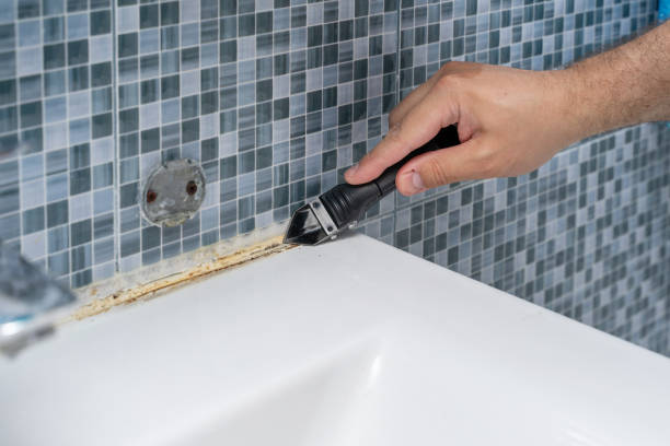 Best Mold Remediation  in Milton Freewater, OR