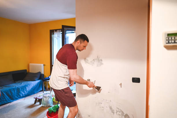 Best Mold Removal and Inspection  in Milton Freewater, OR
